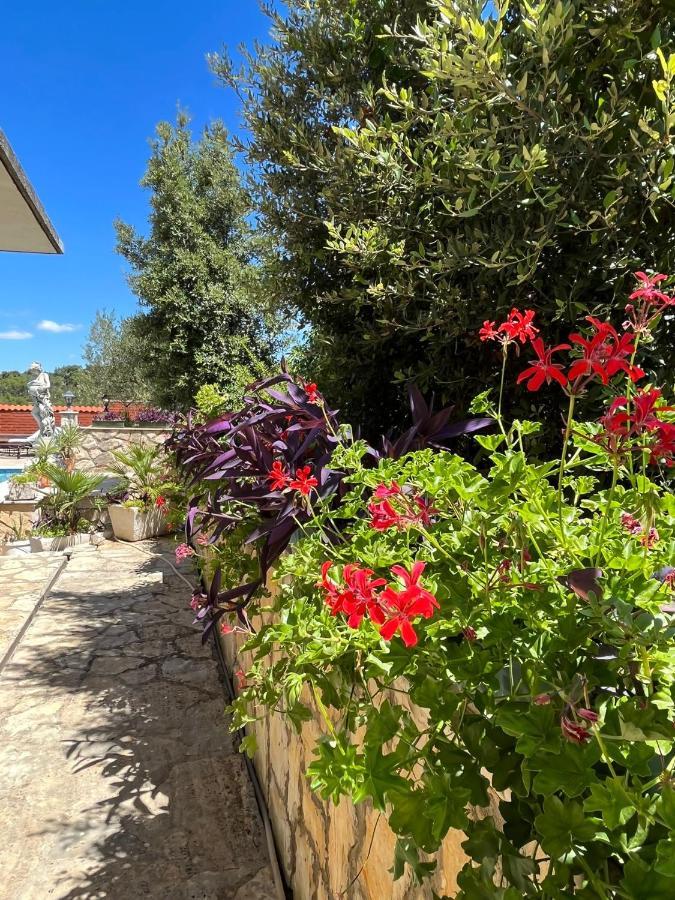 Apartment With Swimming Pool Jelsa  Exterior foto